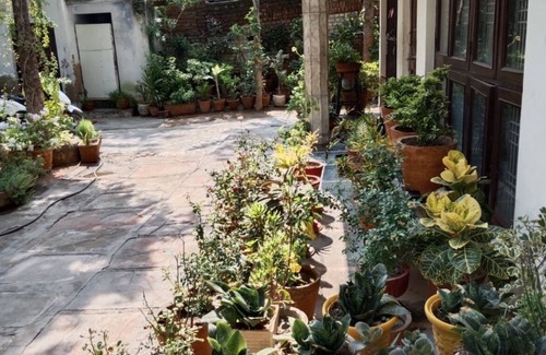 Taj Ganj Bed & Breakfast | Convenient Homestay Steps from the Taj Mahal with Breakfast