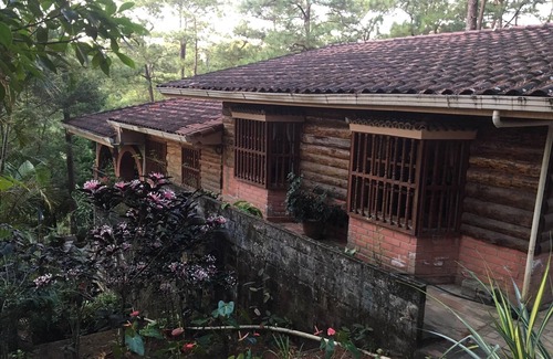 Nueva Concepcion House | Cozy Forest Retreat with Pet-Friendly Amenities