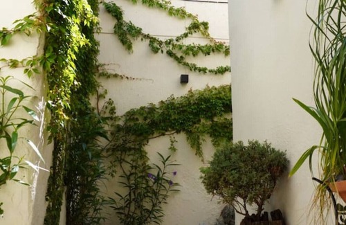 Guadalajara House | Beautiful house in front of the Sanctuary #4-D