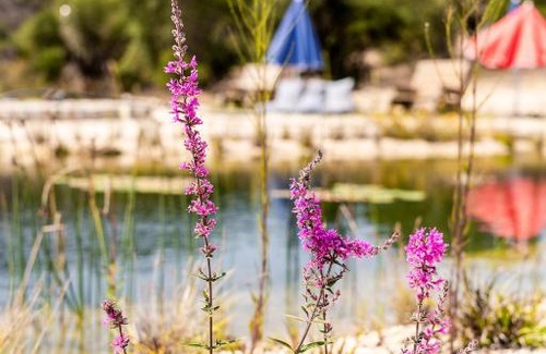 Baiona House | Tranquil Nature Retreat - Vida Pura with Family-Friendly Amenities