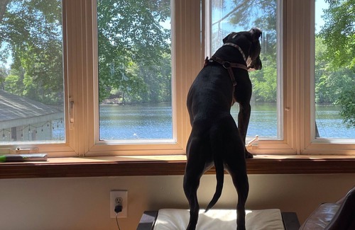 Coventry House | Perfect Lakehouse Getaway: Pet Friendly & Ocean View