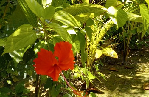 Bocas del Toro House | Spacious Oceanfront Home in Paunch, Bocas del Toro