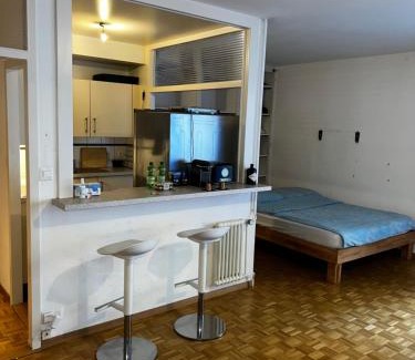 Malombre Apartment | Prime Studio in Central Geneva with Free Wifi & Pet Friendly