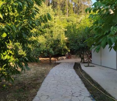 Trifylia Apartment | Cozy Stone House: Pet & Child Friendly Retreat Awaits