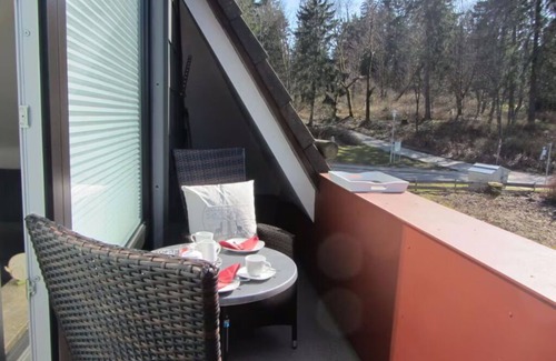 Hahnenklee Apartment | "Beautiful living" in a cozy vacation apartment with panoramic views
