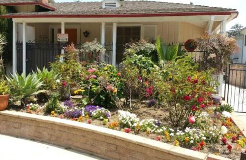 North of Montana House | Prime Beachfront Retreat with Family and Pet Amenities
