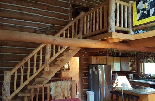 Custer Cabin | Secluded Log Cabin Retreat with Pool and Ocean View