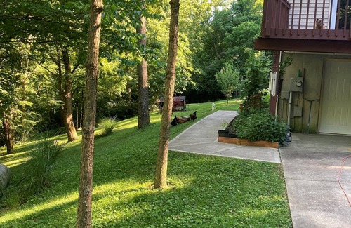 Union House | Serene Nature Retreat with Ocean View and Family Amenities