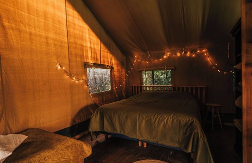 Nieuwediep Bed & Breakfast | Beautiful luxury furnished tent in the countryside