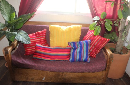 Coyoacan Apartment | Sunny and Cozy Apartment for Your Perfect Getaway