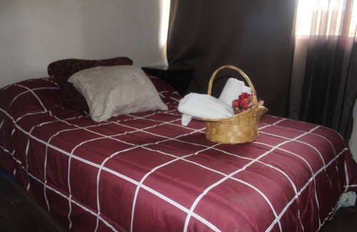 Coyoacan Apartment | Sunny and Cozy Apartment for Your Perfect Getaway