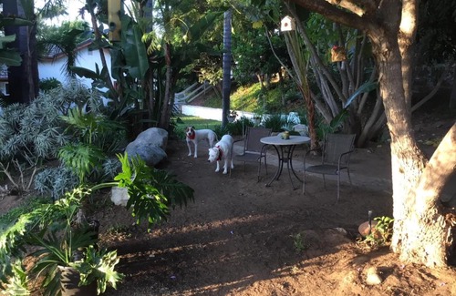 Fallbrook House | New Detached Casita in Picturesque Southern CA Foothills