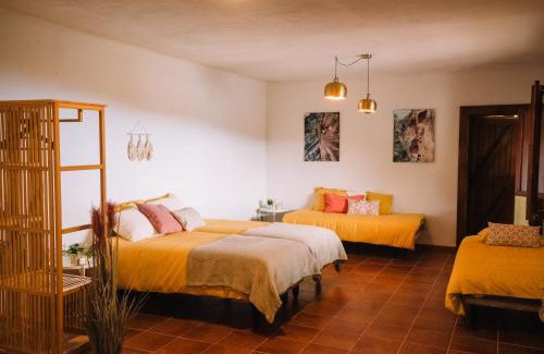 Los Gavilanes House | Inviting Olive's Cave House: Pet & Child Friendly Retreat