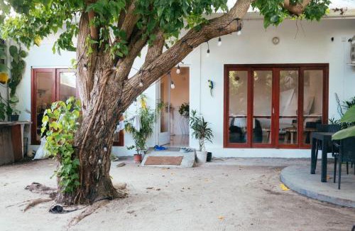 Thulusdhoo Island Villa | Cozy Oceanfront 2-Bedroom Villa - Hale Noa with Breakfast
