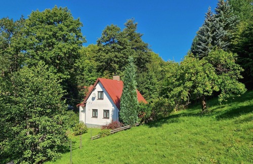 Zelezny Brod Villa | Charming Villa for 5 with Terrace, TV & Pet-Friendly Perks