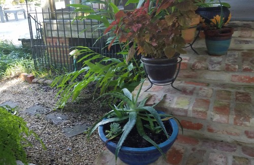 Breaux Bridge Condo | Charming Bayou Retreat with Pool and Spa Amenities