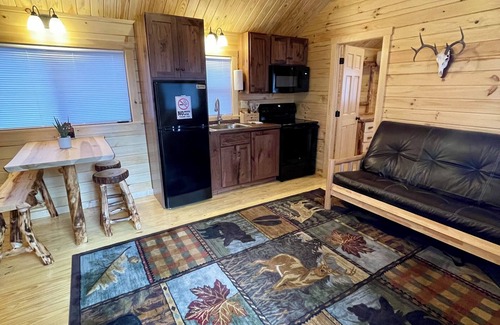 Jones Creek Cabin | Beautiful Rancher Loft Cabin