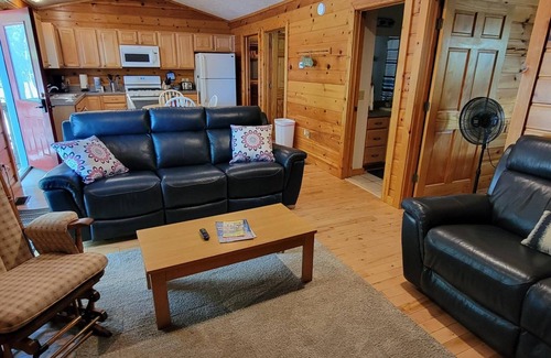 Mayfield Cabin | Explore Spider Lake Waterfront Cabin with Pool & Pet Friendly