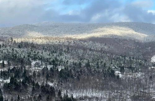 Mont-Tremblant Apartment | Inviting Suite with Breathtaking Mountain Views & Pet-Friendly