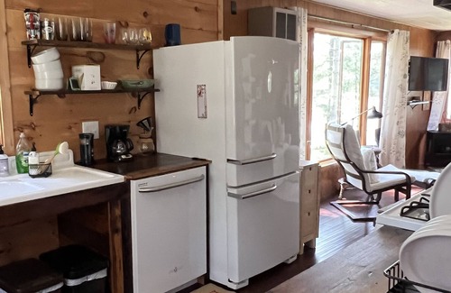 Sayner Cabin | Guest Rated 10/10: Lake View Two Bedroom Cabin on Plum Lake