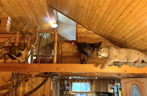 Rustic Cabin | Cozy Updated Log Cabin by the Poudre River - Rated 9/10