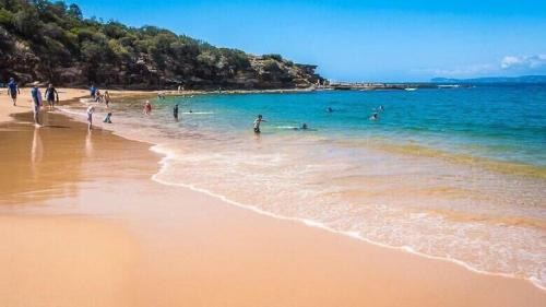 Wagstaffe House | Discover Serene Beaches and Scenic Bush Walks Nearby