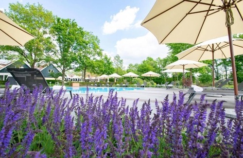 Ootmarsum Hotel | Beautifully Lit Room Overlooking Lush Parkland in Ootmarsum with Wellness Area