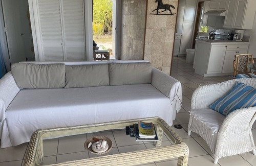 North Palmetto Point Cottage | Idyllic Beach Front Cottage with Ocean View and Pool