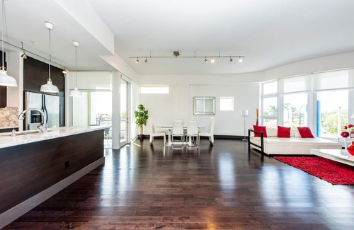Northeast Miami Apartment | Discover the Best Boutique Stay for Families and Pets