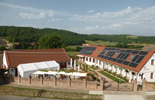 Palkonya Bed & Breakfast | Beck's Borveranda Palkonya: Family-Friendly with Hot Tub