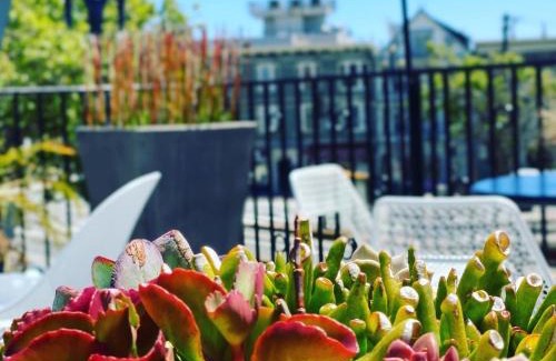Duboce Triangle Hotel | Discover Beck's Motor Lodge: Family-Friendly Retreat