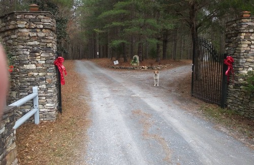 Rockmart Apartment | Becks Lake Studio: Scenic Views & Fire Pit Near Trails