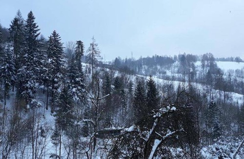 Piwniczna-Zdroj Bed & Breakfast | Cozy Bed and Breakfast for Up to 4 Guests