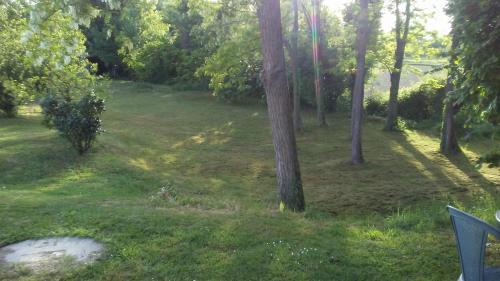 Lughignano Bed & Breakfast | Cozy Bed and Breakfast Sile e Natura: Pet Friendly Retreat