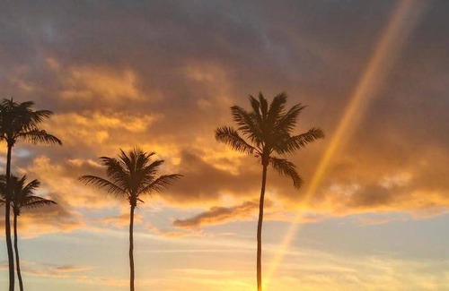 Armacao Bed & Breakfast | Guest Rated Bed and Breakfast: Your Perfect Getaway