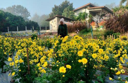 Wiang Pa Pao Bed & Breakfast | Cozy Bed and Breakfast for 32 Guests with Kitchen Access