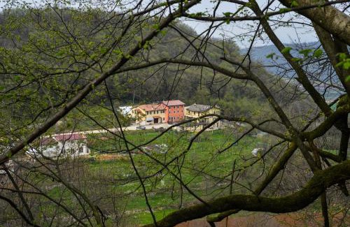 Arcugnano Bed & Breakfast | Charming Bed and Breakfast La Quiete with Family-Friendly Amenities