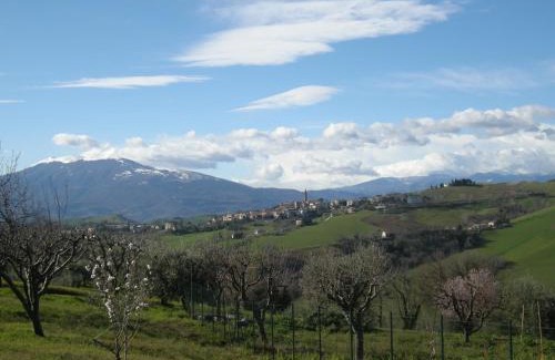 Castignano Bed & Breakfast | Discover Bed And Breakfast San Martino - 9/10 Guest Rated