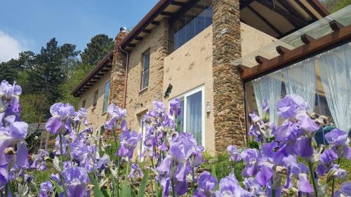 Seravezza Bed & Breakfast | Guest Rated 10/10: Bed and Breakfast Tenuta delle Stelle