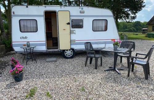 Tureby Bed & Breakfast | Cozy Farm BnB: Pet-Friendly Stay Near e47 with Breakfast