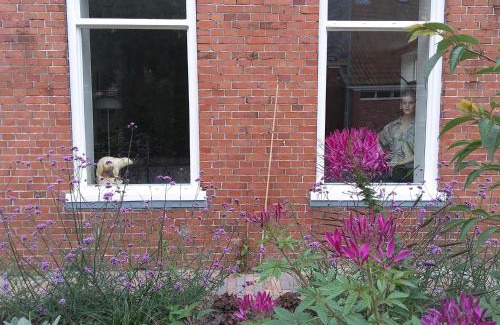 Ezinge Apartment | Charming Bed & Breakfast Appartement 't Haventje Awaits You