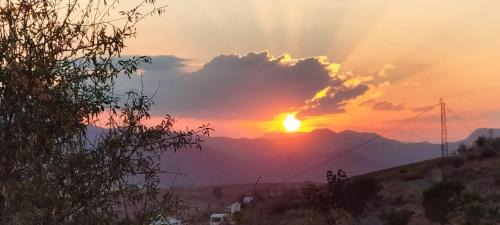 Alora Bed & Breakfast | Experience Casa Ceratonia: Oceanfront Bliss and 9.8 Rating