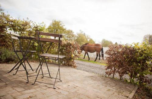 De Bus Bed & Breakfast | Cozy Bed & Breakfast de Bimd Hoeve with Family-Friendly Amenities