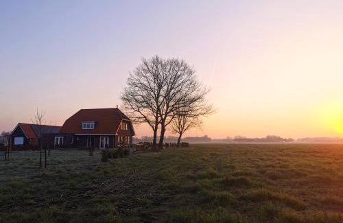 Terschuur Bed & Breakfast | Cozy Stay at Bed & Breakfast de Vink with Complimentary Breakfast