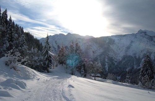 Assling Bed & Breakfast | Family-Friendly Haus Pinter with Breakfast & Kitchen Access