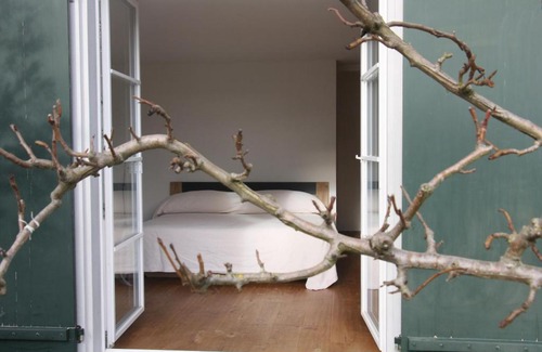 Neerach Bed & Breakfast | Pet-Friendly Retreat at Bed & Breakfast Gaetzi - 9.4 Rated