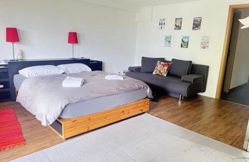 Wengen Bed & Breakfast | Cozy Hop in Nest B&B: Pet-Friendly Retreat in Wengen