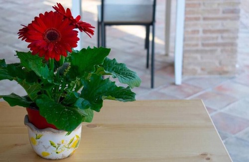 Monte San Biagio Bed & Breakfast | bed & Breakfast
