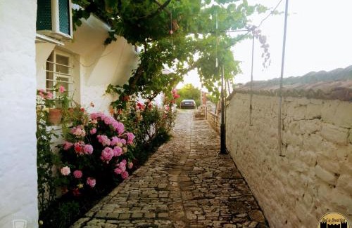 Berat House | Pet Friendly Retreat at Bed & Breakfast JOSIPH - Guest Rated 10/10