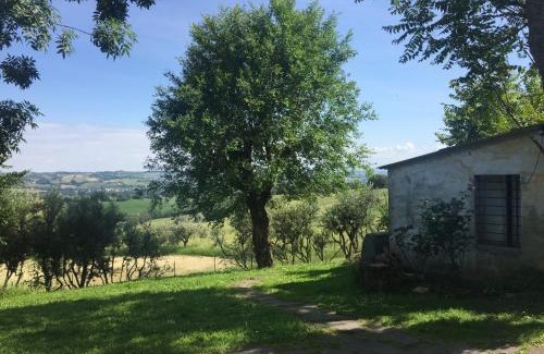 Bettolelle Bed & Breakfast | Pet-Friendly Bed & Breakfast Montségur with Great Amenities